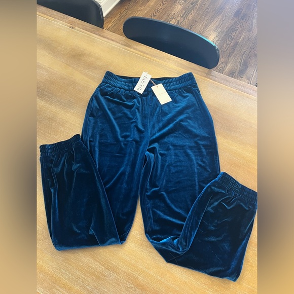 Skies Are Blue Pants - Skies Are Blue Velvet Jogger Pants in Deep Rich Blue